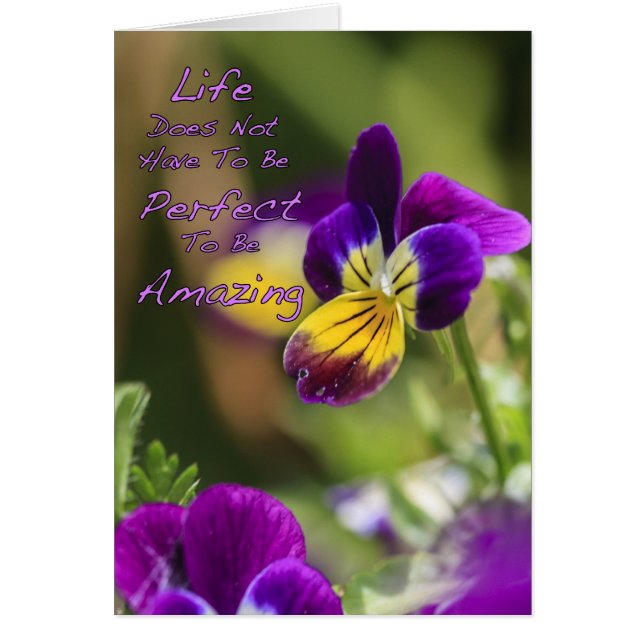 Perfect geweldig leven (Voorkant)