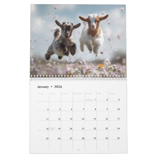 Perfect Gift for Animal Lovers | Baby Animals Wall Kalender (Jan 2026)