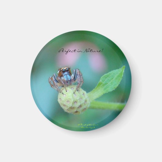 Perfect in Natuur Award Magneet (Voorkant)