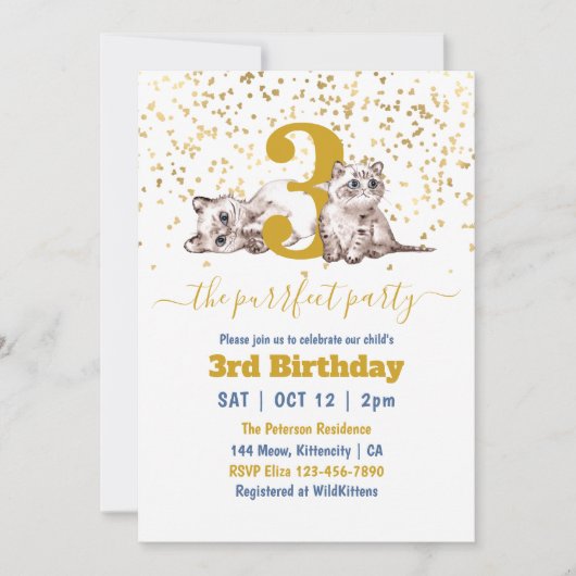 Perfect Kattenfeestje Kinderverjaardag  Kaart (Voorkant)