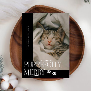 Perfect Merry Cat Foto Black Christmas Feestdagenkaart