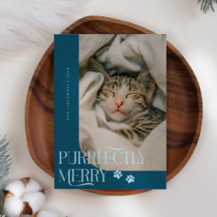 Perfect Merry Cat foto Blauwgroen Kerst Feestdagenkaart