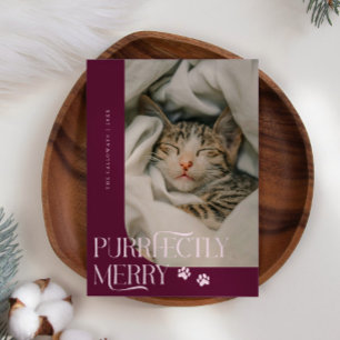 Perfect Merry Cat Foto Cranberry Kerstmis Feestdagenkaart