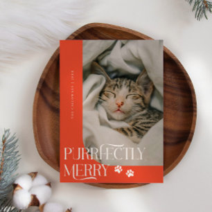 Perfect Merry Cat Foto Rode Kerst Feestdagenkaart