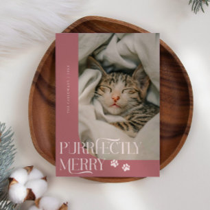 Perfect Merry Cat Foto Roze Kerst Feestdagenkaart