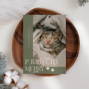 Perfect Merry Cat Photo Sage Green Christmas Feestdagenkaart