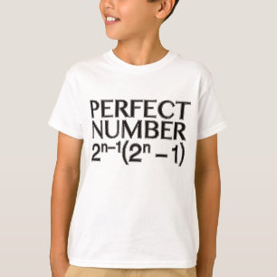 PERFECT_NUMBER T-SHIRT