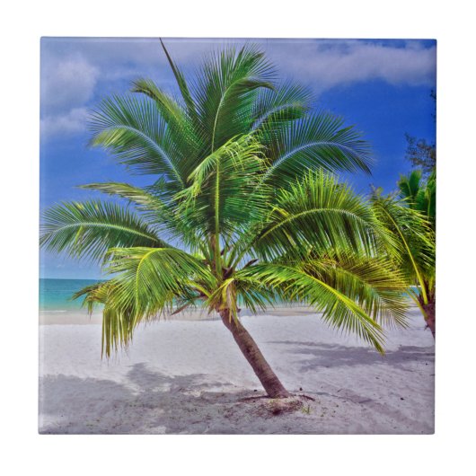 Perfect palm Tree Tropical Island Beach Tegeltje (Voorkant)
