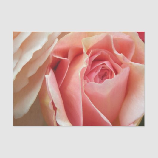 Perfect pasta-Roos Tissuepapier (Voorkant)