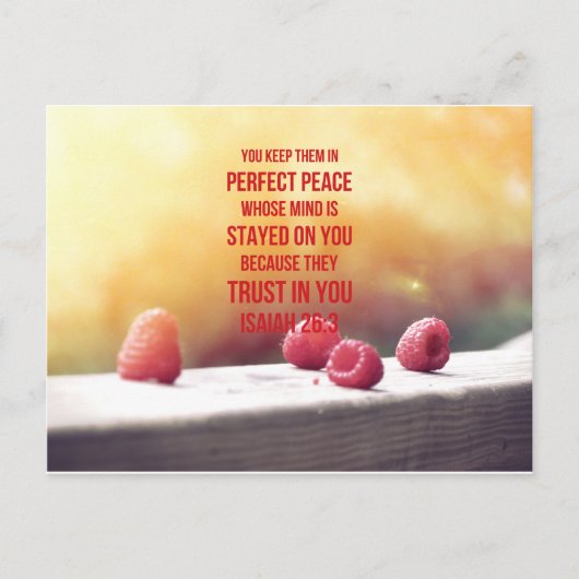 Perfect Peace Isaiah 26:3 Briefkaart (Voorkant)