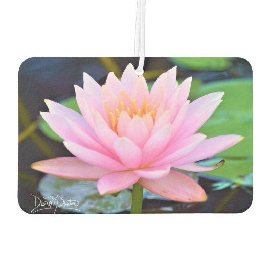 Perfect Pink Beauty Luchtverfrisser (Achterkant)