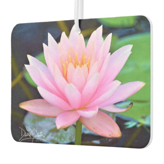 Perfect Pink Beauty Luchtverfrisser (Links)