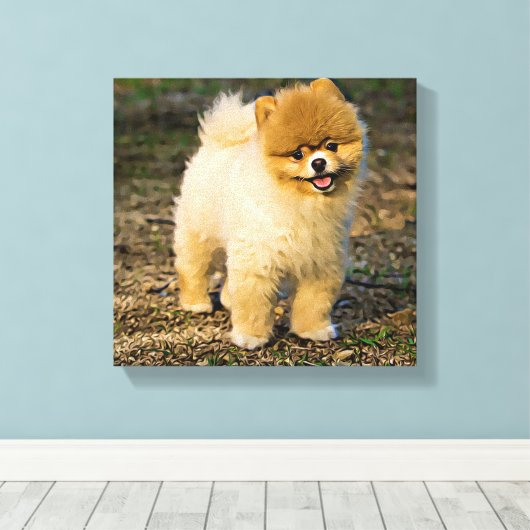 Perfect Pomeranian Canvas Afdruk (Insitu (Houten vloer))
