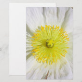 Perfect Poppy Briefpapier (Voorkant / Achterkant)