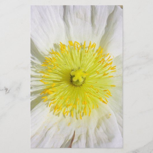 Perfect Poppy Briefpapier (Voorkant)