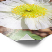 Perfect Poppy Foto Afdruk (Hoek)