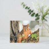 Perfect pose briefkaart (Staand voorkant)