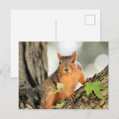 Perfect pose briefkaart (Voorkant / Achterkant)