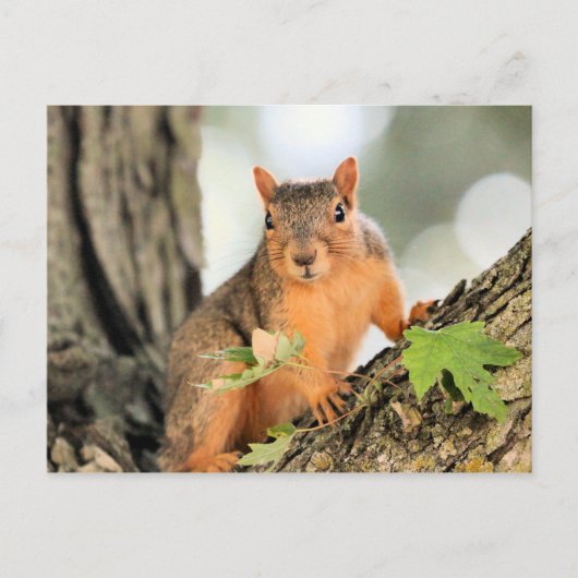 Perfect pose briefkaart (Voorkant)