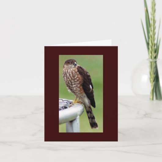 Perfect profiel kaart (Voorkant)