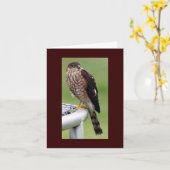 Perfect profiel kaart (Gele Bloem)