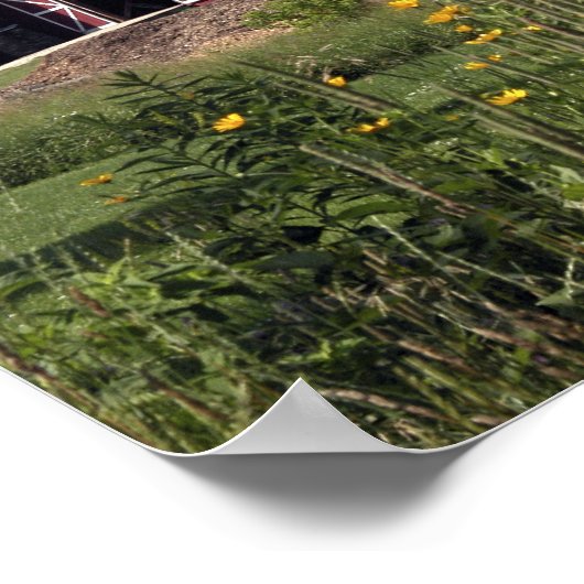 Perfect Red Barn Poster (Hoek)