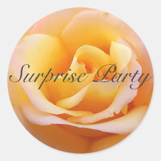 Perfect Roos - Surprise Party Ronde Sticker