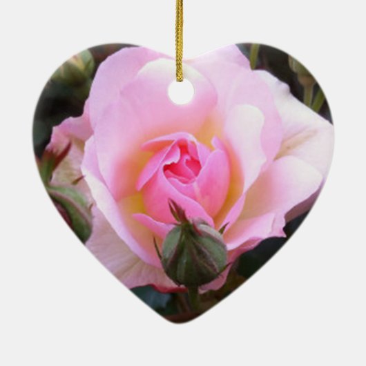 Perfect roze Engels Roos Keramisch Ornament (Achterkant)