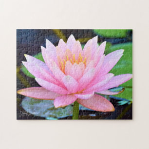 Perfect Roze Schoonheid Legpuzzel