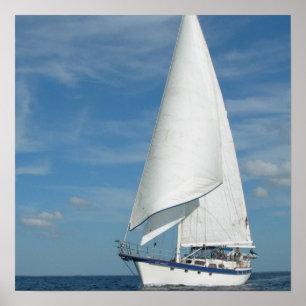 Perfect Sail Poster