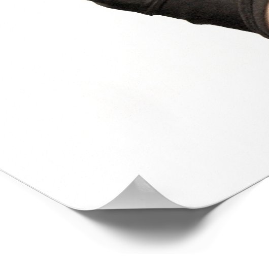 Perfect Salon Poster (Hoek)