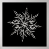 Perfect Snowflake voor de kerstfeestdag Poster (Voorkant)