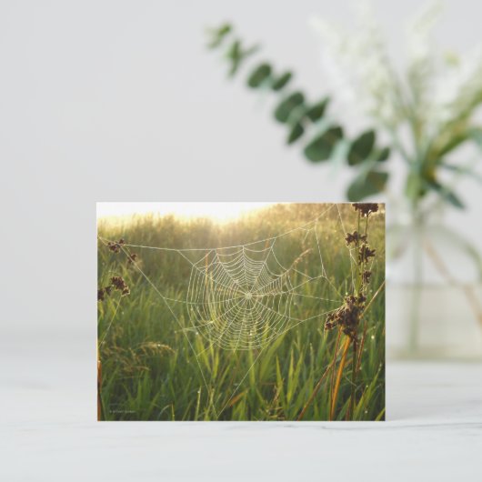 Perfect spider Web Briefkaart (Staand voorkant)