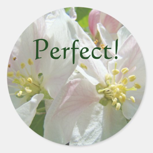 Perfect, stickers op Apple Blossom Flowers (Voorkant)