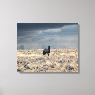 Perfect Storm op canvas  Afdruk