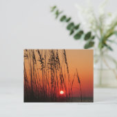 Perfect Sunset Briefkaart (Staand voorkant)