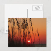 Perfect Sunset Briefkaart (Voorkant / Achterkant)