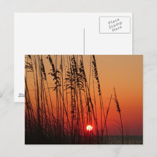 Perfect Sunset Briefkaart (Voorkant / Achterkant)