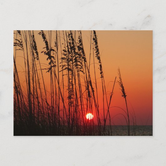 Perfect Sunset Briefkaart (Voorkant)