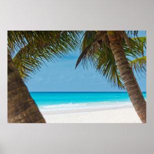 Perfect Tropisch Paradijs Strand Poster