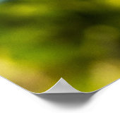 Perfect voor vogels 24 x 24.81 archiefpapier Poste Poster (Hoek)