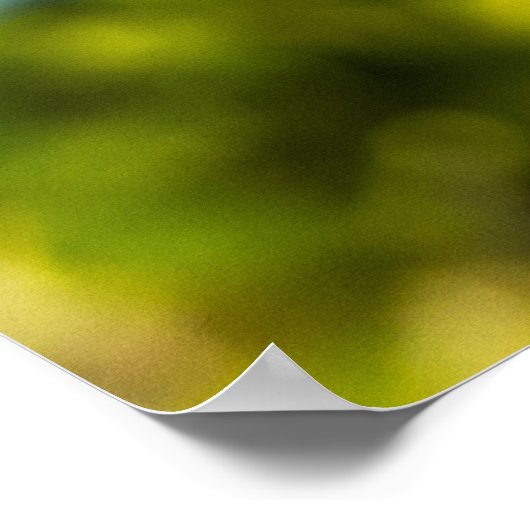 Perfect voor vogels 24 x 24.81 archiefpapier Poste Poster (Hoek)