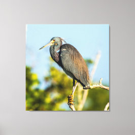 Perfect voor vogels 35.70 x 37 Stretched Canvas af Afdruk