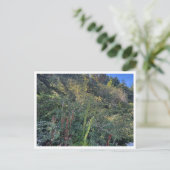 Perfect weather briefkaart (Staand voorkant)