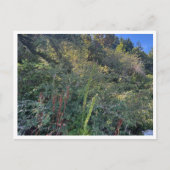 Perfect weather briefkaart (Voorkant)