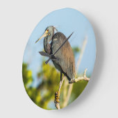 Perfecte acrylwandklok voor vogels, rond (groot) grote klok (Hoek)