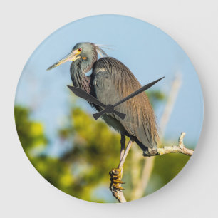 Perfecte acrylwandklok voor vogels, rond (groot) grote klok