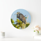 Perfecte acrylwandklok voor vogels, rond (groot) grote klok (Huis)