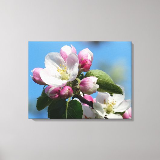 Perfecte Apple Blossom Wrapped Canvas (glans) Afdruk (Voorkant)