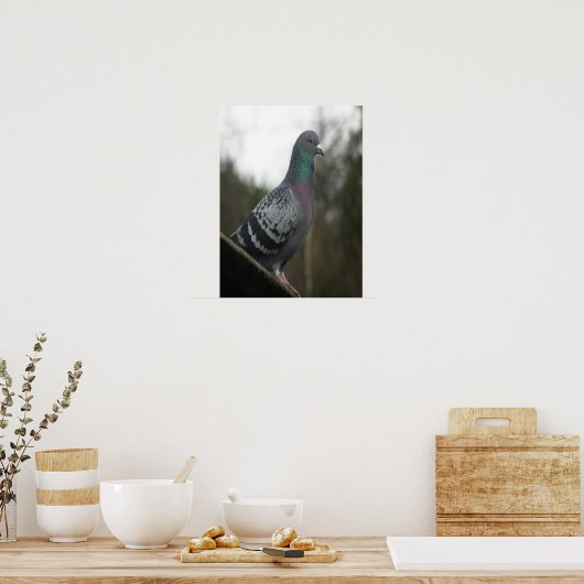 Perfecte duif afdrukken poster (Keuken)